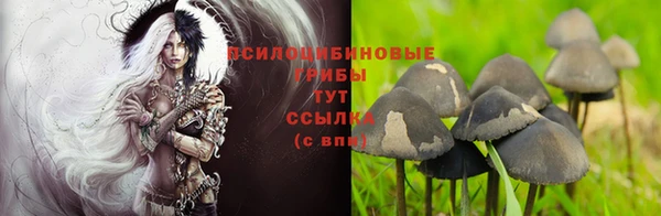 круглые Алексин