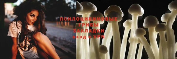 mdpv Алзамай